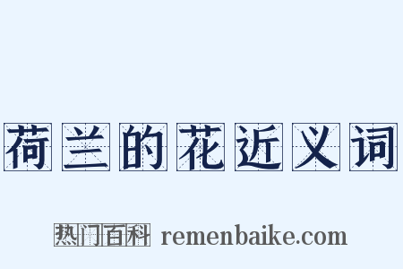 荷兰的花近义词是什么意思的图片